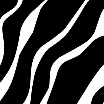 Black and white abstract zebra stripes background, art background