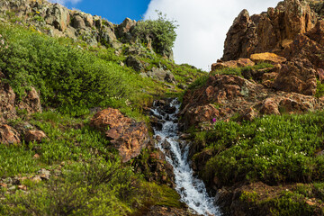 Fototapeta na wymiar waterfall running down hillside in the mountains with green bushes
