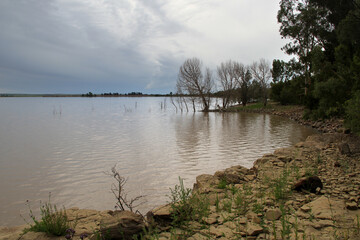 Green and dry black trees, calming water and clouds, The Willem Pretorius Game Reserve is a captivating wildlife sanctuary located in the Free State province of South Africa.