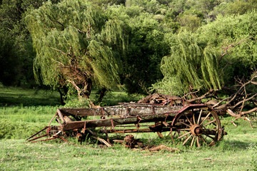 An old ox-wagon that was left abandoned on a farm  in the Vredefort Dome area, North west, Sout Africa, 