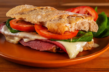 artisanal baguette sandwich with melted mozzarella, mortadella, arugula and tomato slices