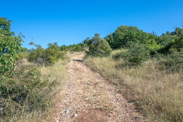 Obraz premium Summer Landscape of Rudina mountain, Bulgaria