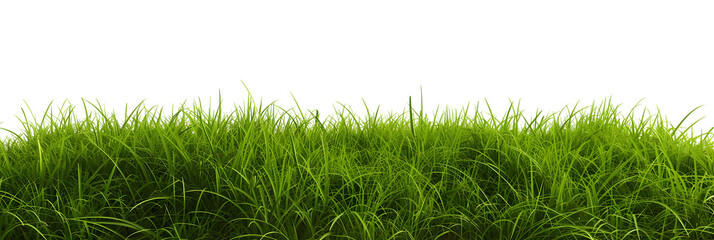 Natural fresh green grass cut out backgrounds 3d rendering