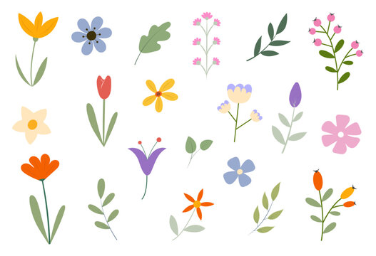 Spring and summer floral collection. Simple and colorful hand-drawn flowers, leaves, and branches. Vector illustration.