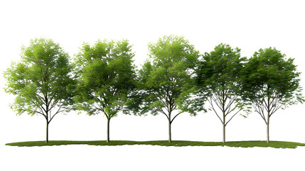 Outside trees landscaped shapes cutout backgrounds 3d render png