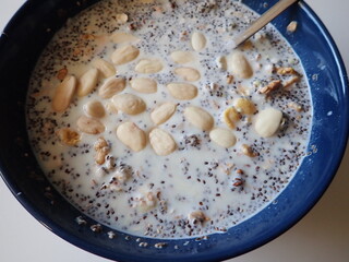 porridge oatmeal with chia seeds