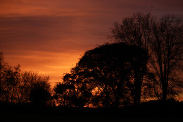 puesta de sol naranja en el campo