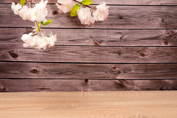 spring apple blossoms flowering on a wooden background