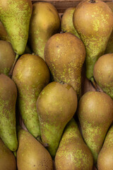 many Pears as a background,background with pears, close-up of juicy pears, lots of pears