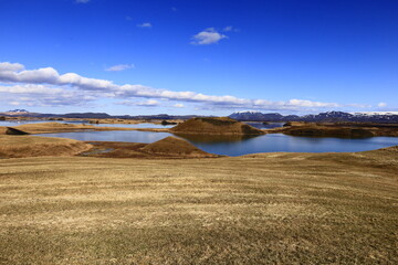 Mývatn is a shallow lake situated in an area of active volcanism in the north of Iceland, near...