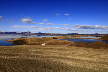 Mývatn is a shallow lake situated in an area of active volcanism in the north of Iceland, near...
