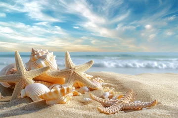 Deurstickers Starfish and Seashells on a Sandy Beach © BrandwayArt