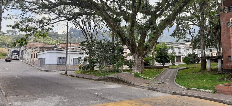 16/02/2020; Versalles neighborhood in the city of Calarca Quindio with Ceiba trees.
