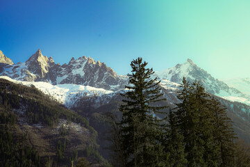 Paisaje montañas alpinas suizas nevadas con alto bosque