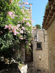 프랑스 남부의 중세도시인 에즈빌리지에서 직은 아름다운 선인장꽃과 덩굴식물의 꽃 사진입니다. 중세시대 황토색 벽돌 건물을 타고 아름답게 핀 덩굴꽃과 활짝 개화한 선인장의 꽃이 아름답습니다. 