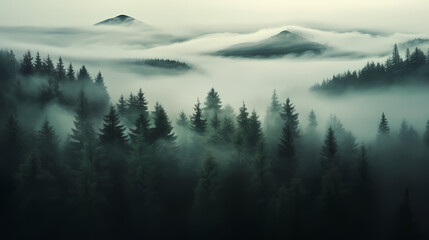 Lush green forest, vibrant green plants in the forest