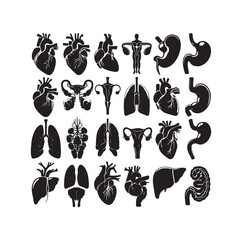human organ Collection silhouette. internal isolated organs set. Vector flat graphic design illustration