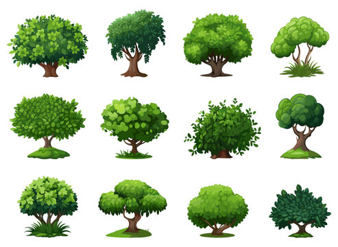Landscaping shrub plants. Detailed vecor wood shrubs set, cartoon bushes with green foliage isolated illustration