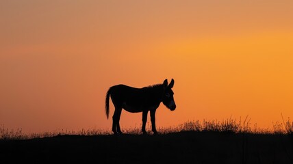 Silhouette of a lone donkey on a hilltop against a vibrant sunset sky.