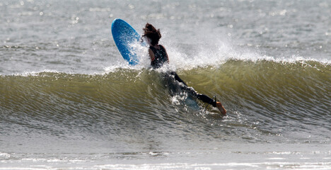 Fototapeta premium Surfer in a wetsuit splashing through a wave swimming out to go surfing