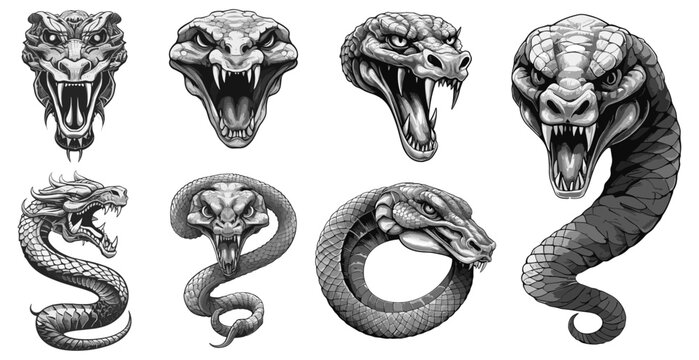 Snake tattoo designs. Python viper cobra doodle etching, vector retro serpents tattoos isolated on white