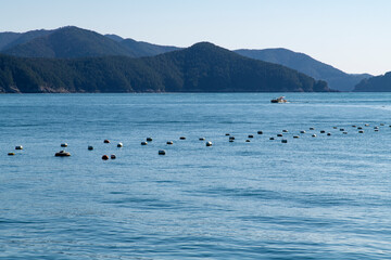 View of the oyster farm in the blue sea
