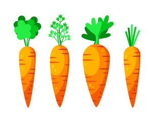 Carrot with leave. Easter carrots set. Vegetables, healthy or vegan food. Vector illustration
