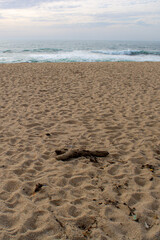 footsteps on the beach over the summer