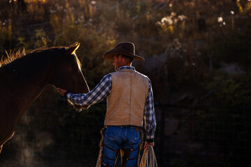 Naklejka premium Colorado Cowboy in dusty corral with rope working horses