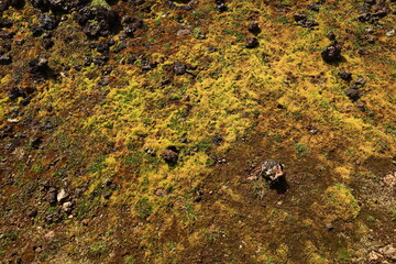 Leirhnjúkur is an active volcano located northeast of Lake Mývatn in the Krafla Volcanic System, Iceland