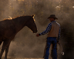 Colorado Cowboy in dusty corral with rope working horses