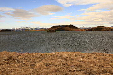 Mývatn is a shallow lake located in an area of active volcanism in northern Iceland, near the...