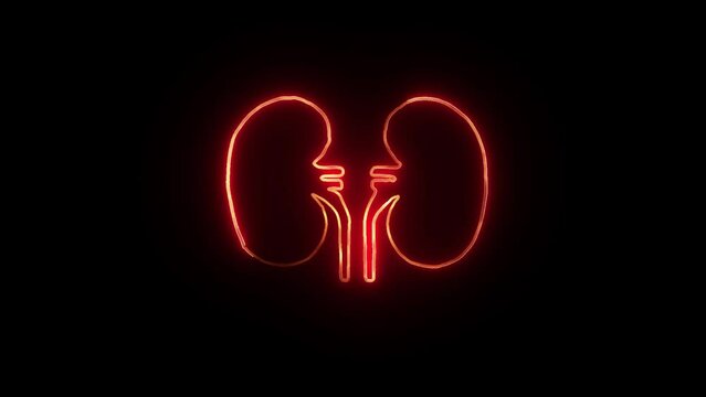 The appearance of neon symbol kidneys. Elements of Medicine in neon style icons. 4k. Neon human kidneys icon in line style. neon line kidneys icon ,