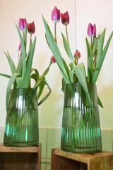 tulips in vase near the mirror 