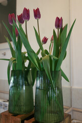 tulips in vase