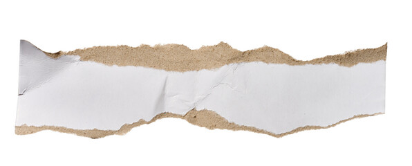 Fototapeta premium White piece of cardboard with torn edges on isolated background