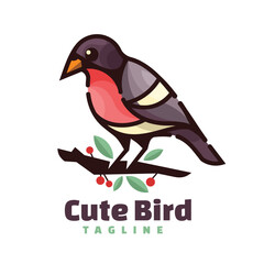 Fototapeta premium bird character logo mascot
