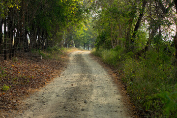 Obraz premium paisaje rural