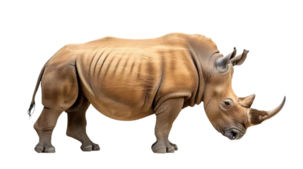 Foto op Plexiglas rhino cutout isolated on white, side view on transparent png background  © Christopher