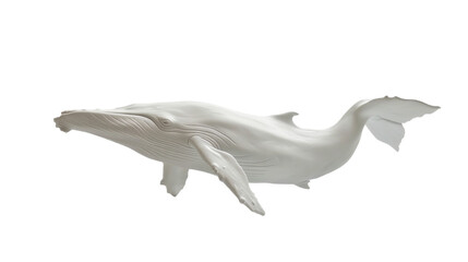 white whale isolated on white side view on transparent png background	 - obrazy, fototapety, plakaty