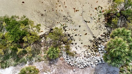 A drone photo of the natural shoreline of Tampa Bay, Florida.