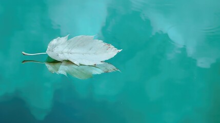 White transparent leaf on mirror surface with reflection on turquoise background macro. Artistic image of ship in water of lake. Dreamy image nature, free space
