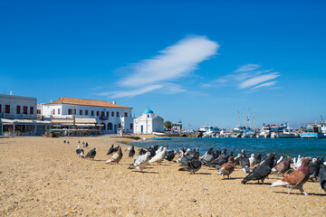 Mykonos beach on the sunny day. Cyclades. Sea
