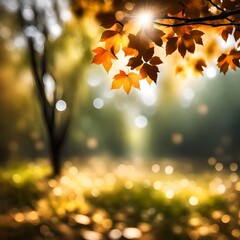 autumn leaves background