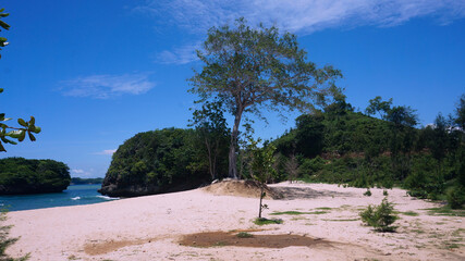 a secret beach side that is still rarely visited by people, with white sand, green plants and coral...