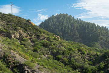 Fototapeta premium View of high voltage electric transmission towers on green hills in the mountains of Tenerife, Canary Islands, Spain