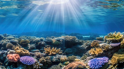 Sun rays piercing the clear blue water of a coral reef teeming with diverse marine life