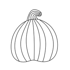 pumpkin line icon.