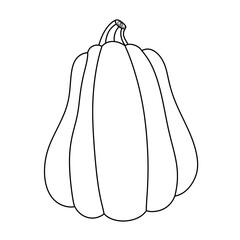 pumpkin line icon.