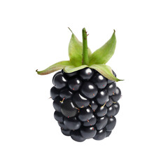 One tasty ripe blackberry isolated on white